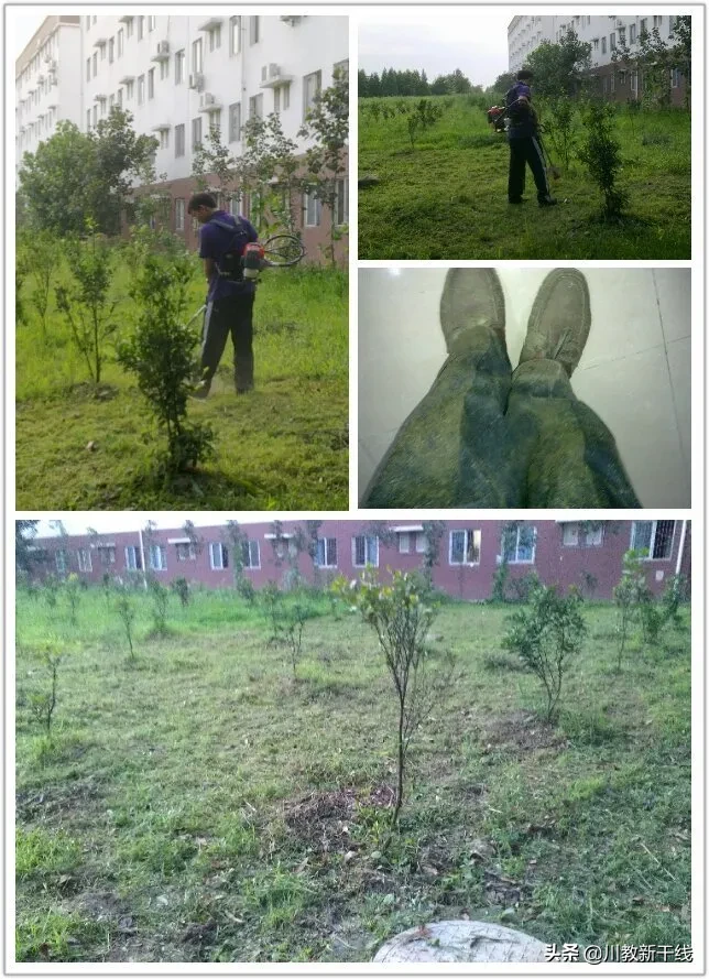 邓忠君：扎根四川大学锦城学院学生农场的“现代农夫”