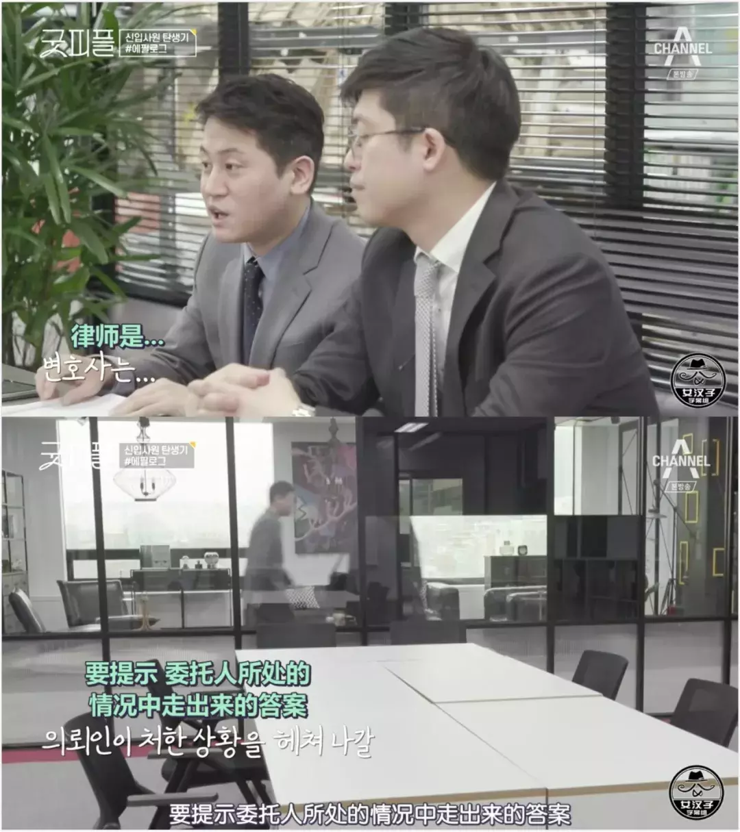 豆瓣9.6,最佳职场教科书,全在这档综艺里了