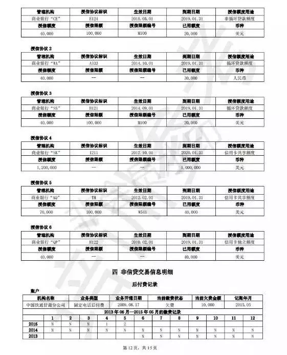 速看！15页新版央行个人征信报告完整版曝光