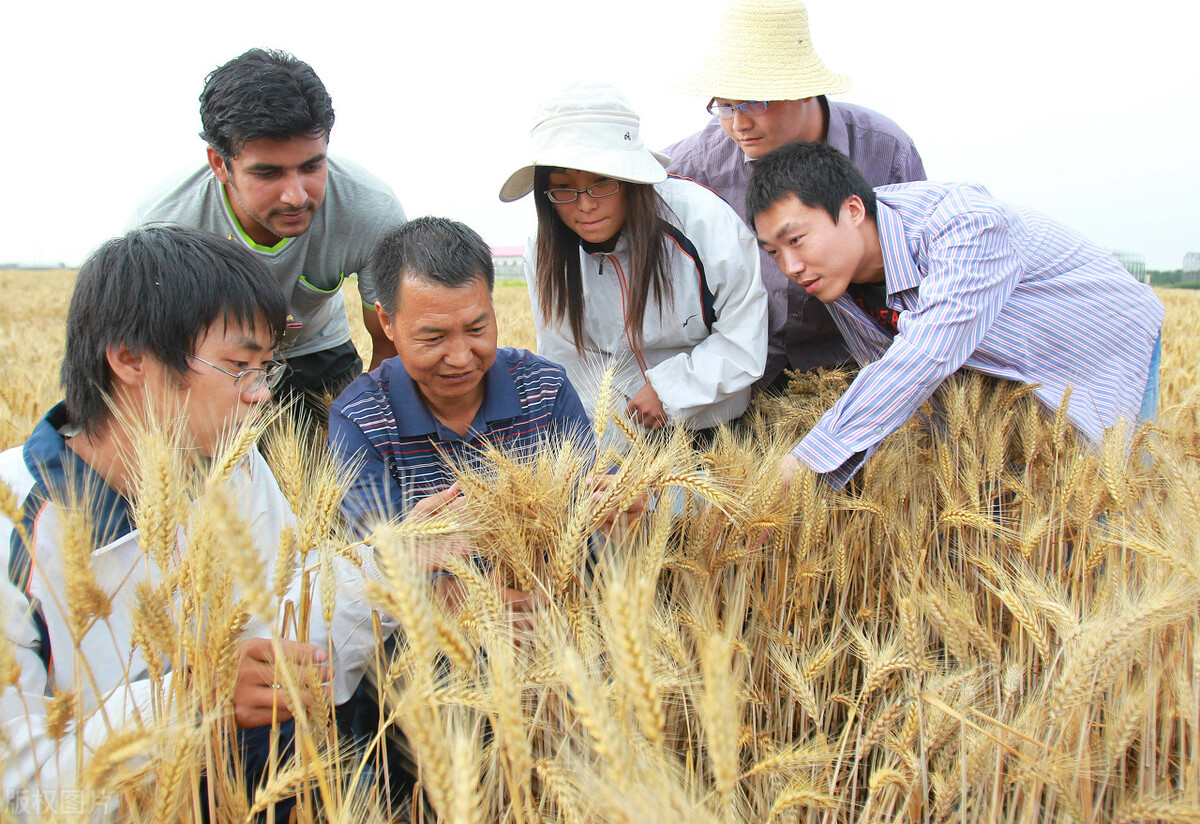 西北农林科技大学的王牌专业有哪些？农林、动物类专业已足够优秀