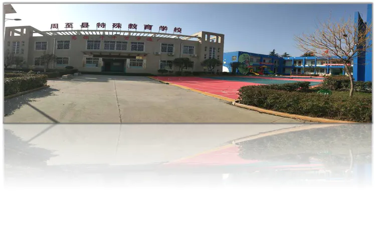 周至县特殊教育学校2020年秋季招生工作方案