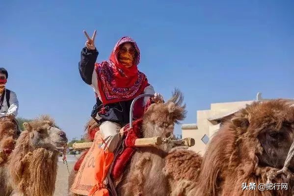 敦煌——瓜州6天5夜大敦煌游学之旅最全攻略