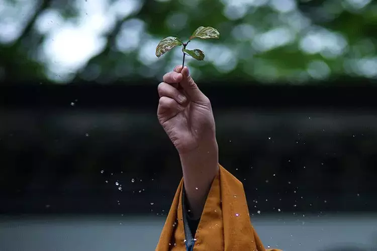 附庸风雅，一场羞死人的尴尬