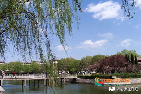 河南高校巡礼之河南科技学院