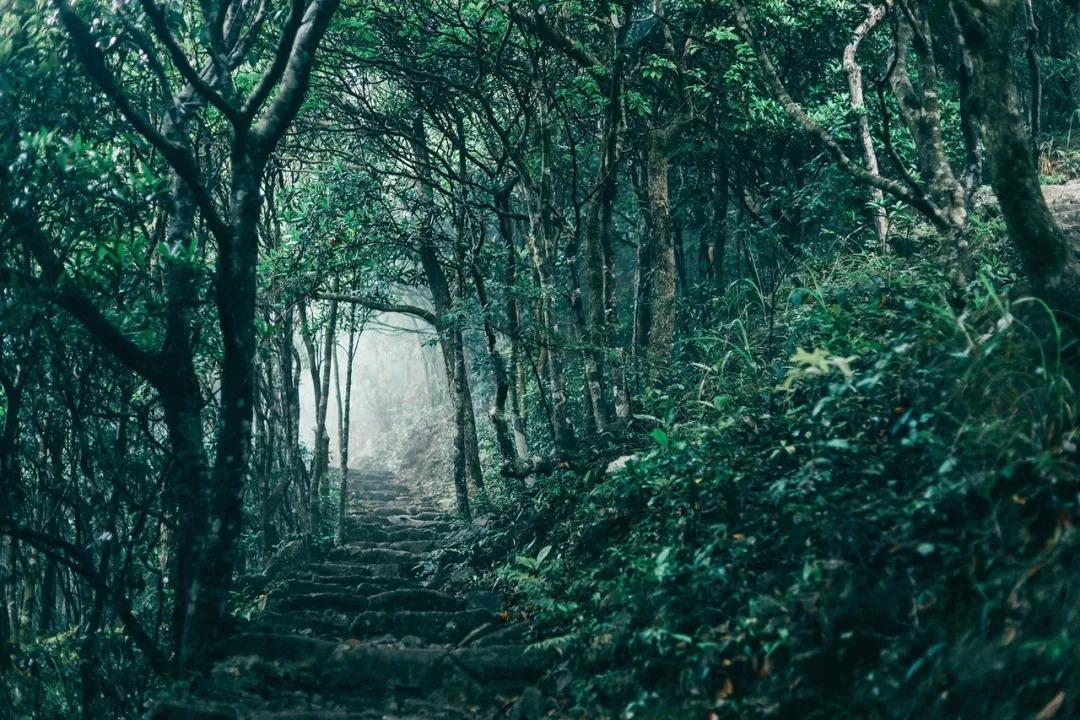 深圳值得征服的10座山，你去过几座？