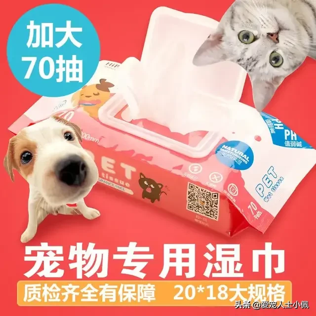 猫咪为什么会流眼泪？是猫咪感觉到了悲伤还是猫咪生病了？