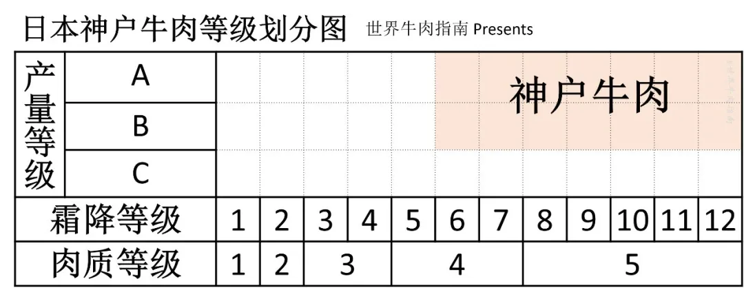 澳洲和牛的等级怎么区分（短小精悍的各国牛肉分级攻略）