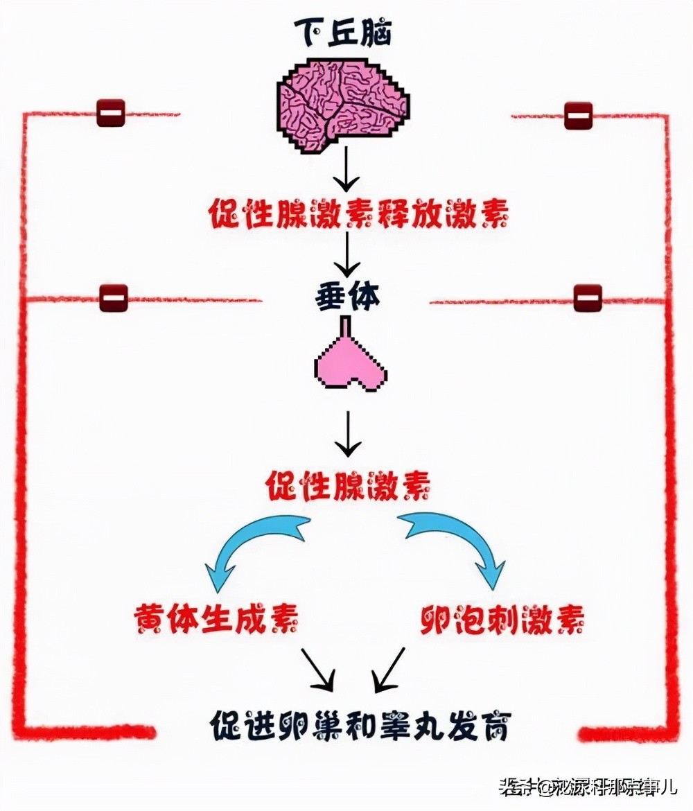 妊娠失败的男性因素有哪些？