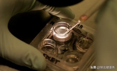 打算做试管婴儿，却连这6个常识都不知道，劝你还是先别去了