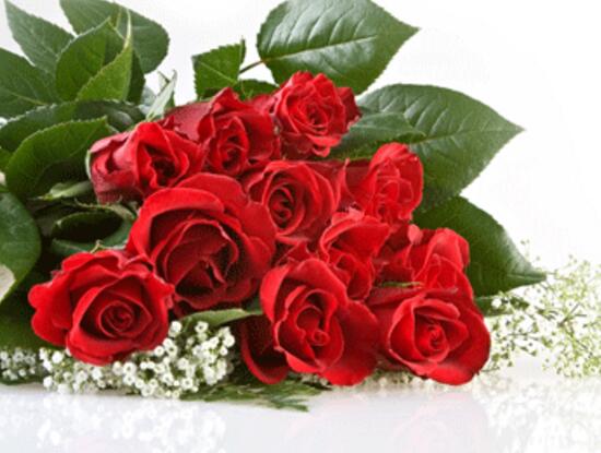 玫瑰花送几朵代表什么（玫瑰花寓意和象征）