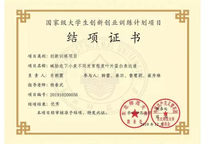 稳坐专业第一，本科发3篇SCI，东北美女学霸“火”了：已直博清华