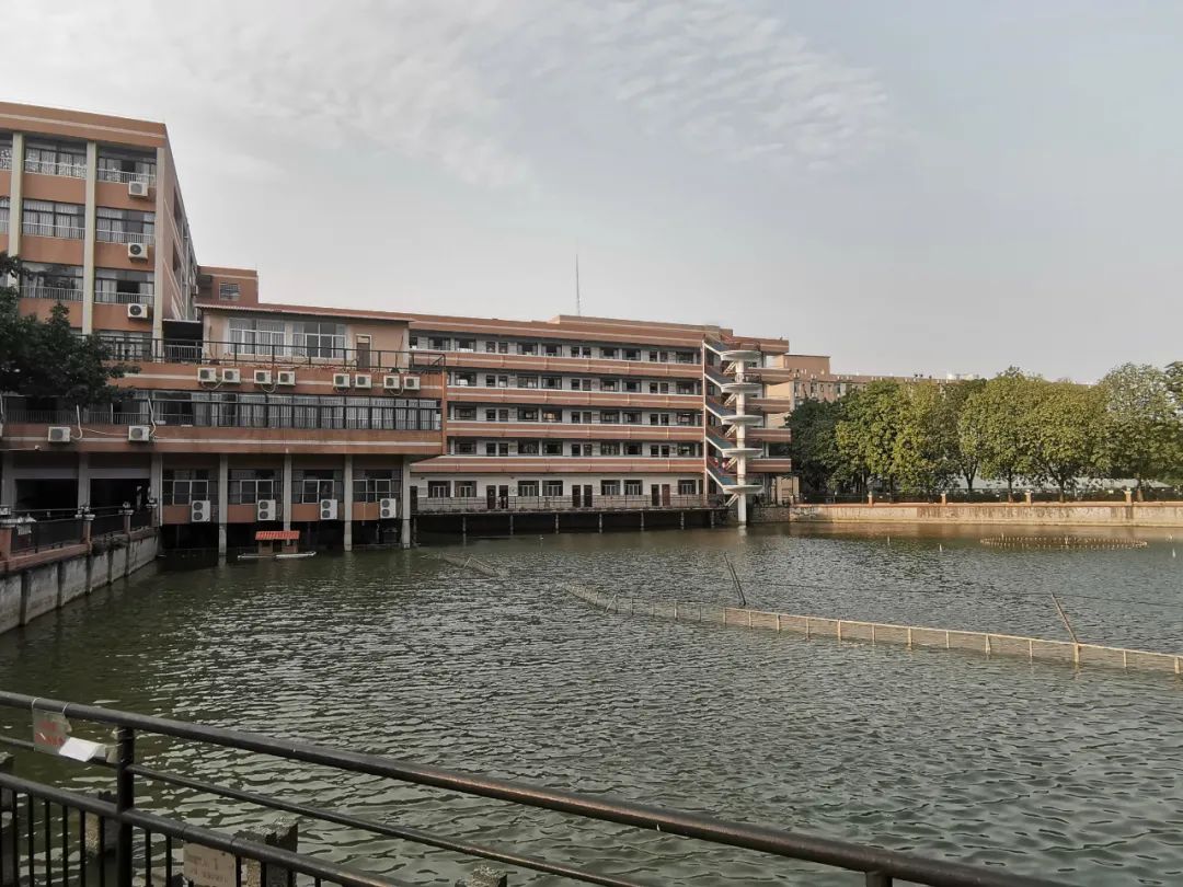 不仅有保送，带你走进广州这所最多元却很低调的高中