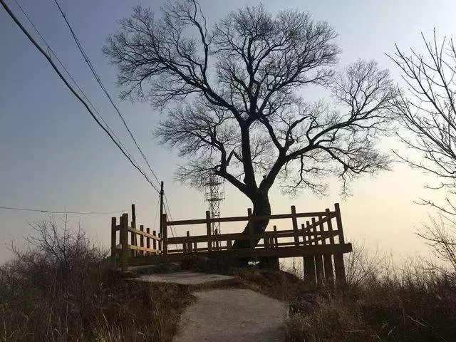 辟邪的东西有哪些（盘点民间能避邪的物件）