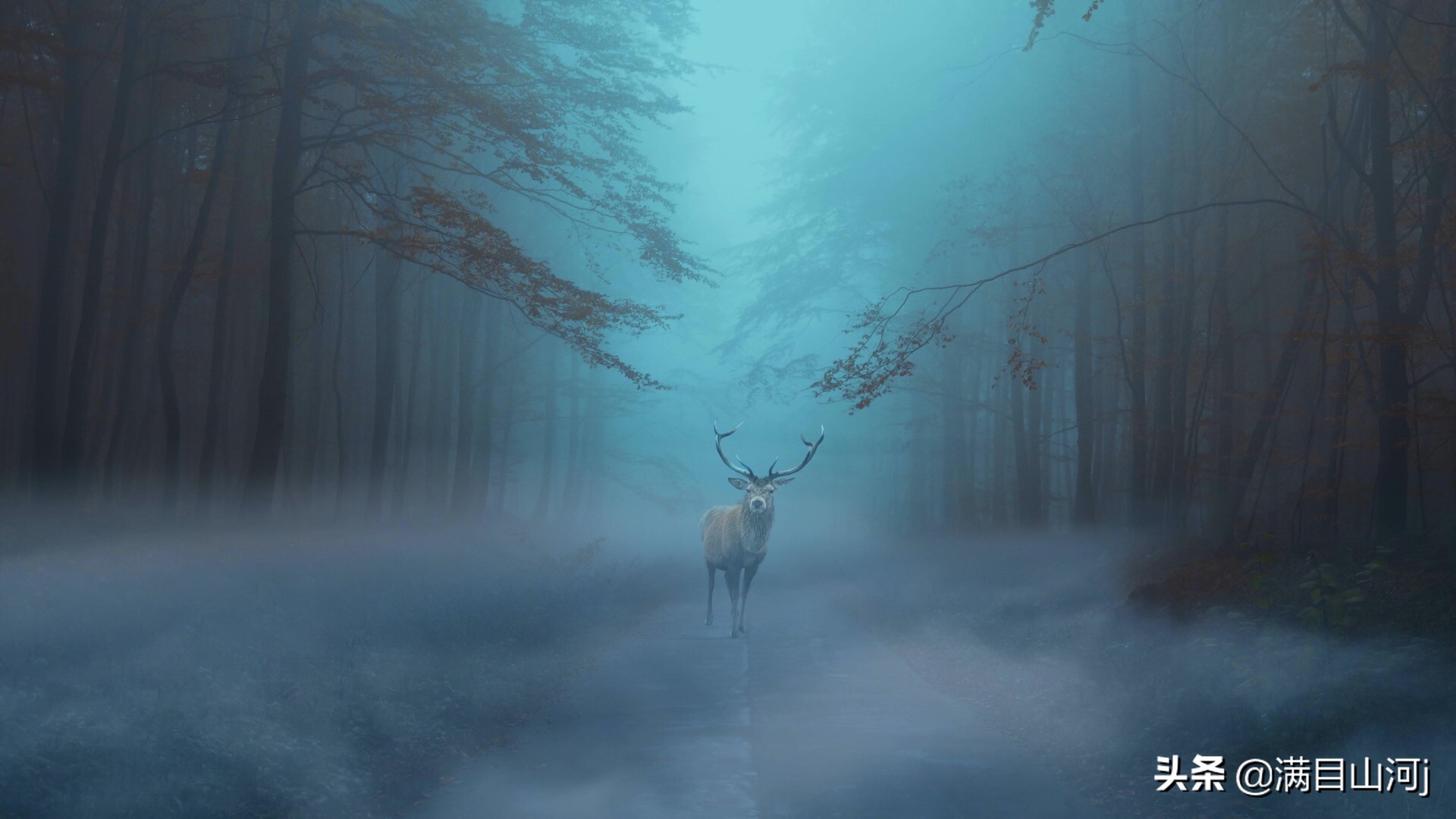 高清梦幻唯美童话mac主题壁纸5k