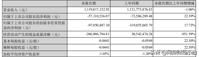 中国五大种植业企业