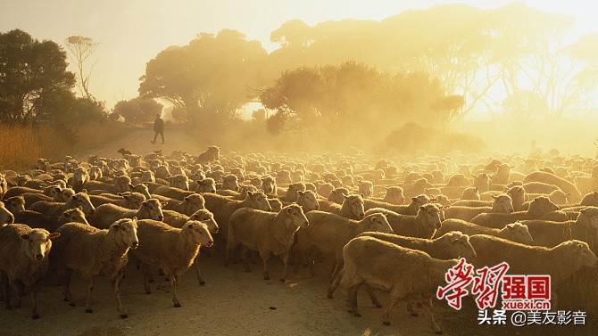 每日鉴赏|渭川田家
