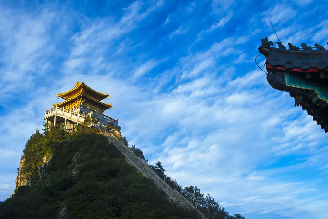 22考研：跨考应用心理专硕专业课怎么学？具体规划怎样？