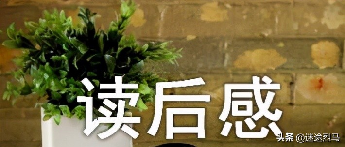 部编版五年级下册第二单元作文读后感的写作技巧，你掌握了几个？