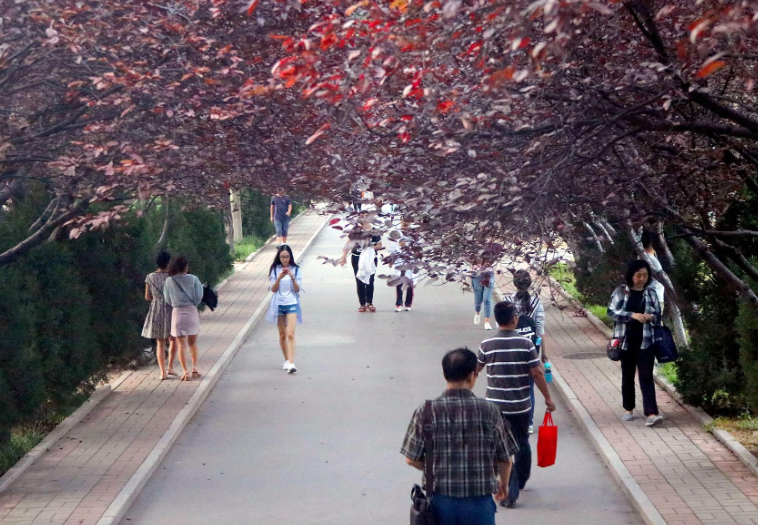 为什么大学期间都想当班干部？多半因这3个好处，网友：不早说