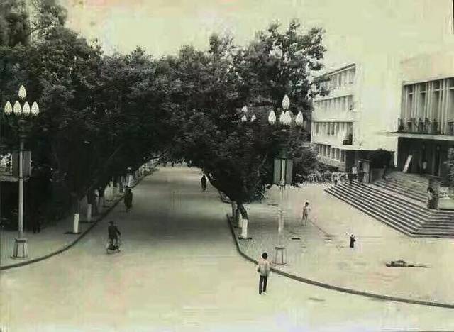 “高考钉子户”25年高考史：不是所有的梦想都值得坚持