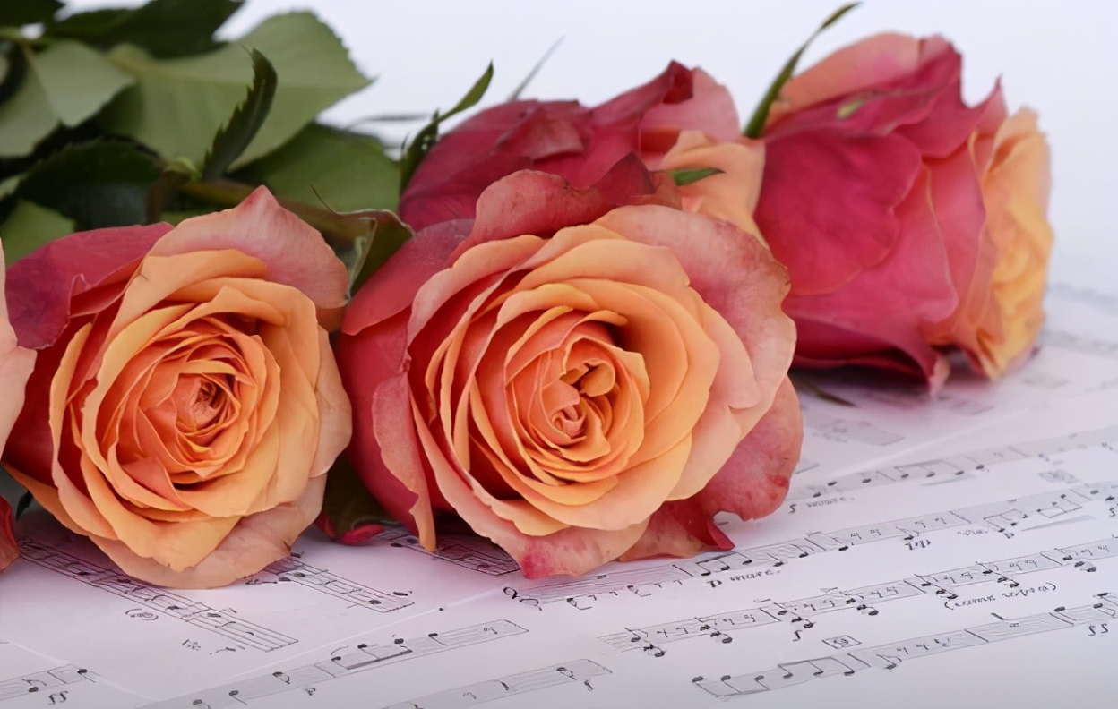 河北成人高考艺术类考生需要加试吗？加试都考什么？