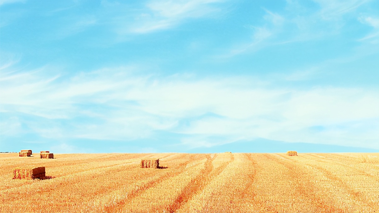 周易起名大全:10个淡雅脱俗的宝宝名字,个个都响亮大气