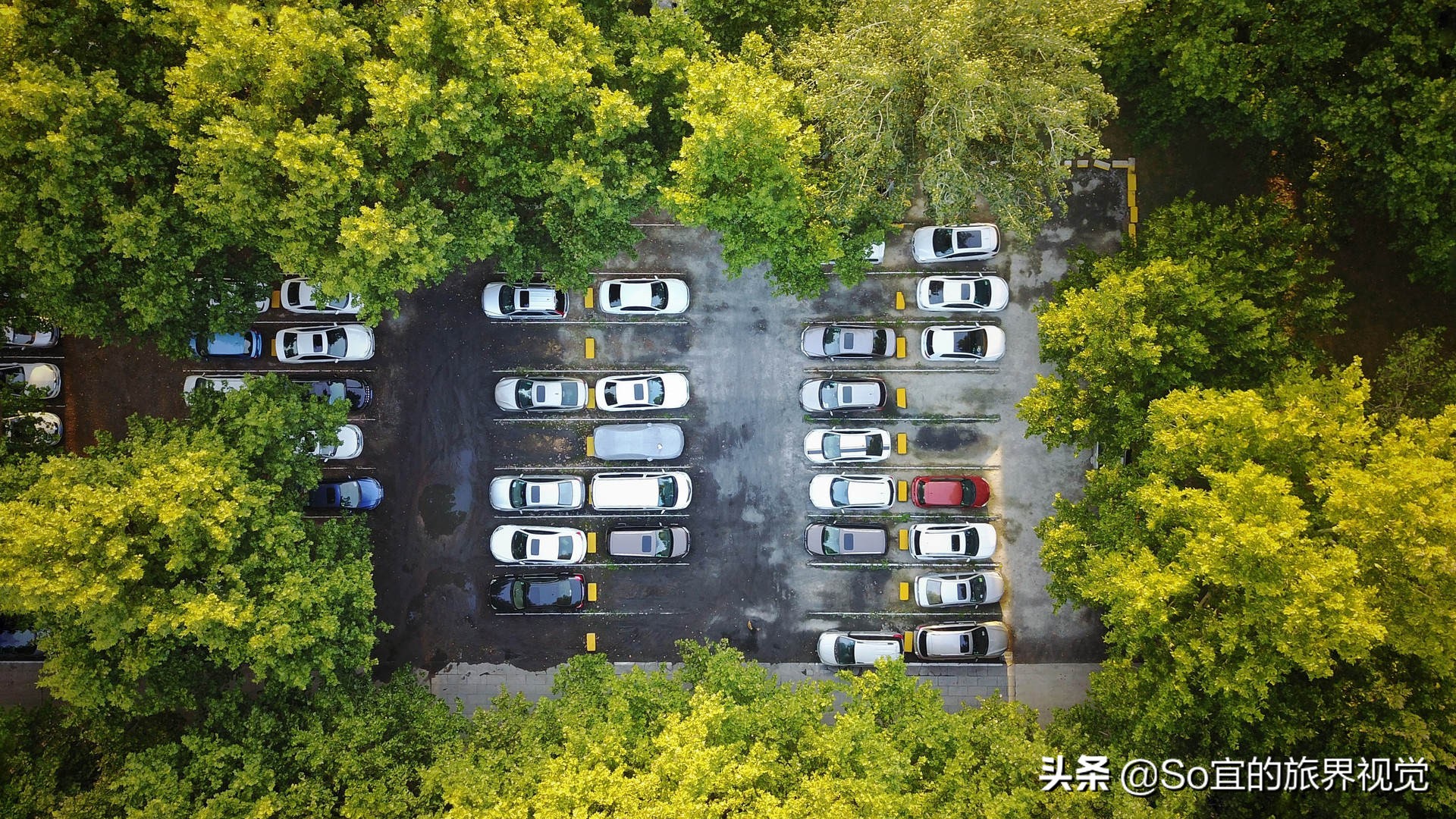 价格快比上门票的景区观光车，是霸王条款吗？