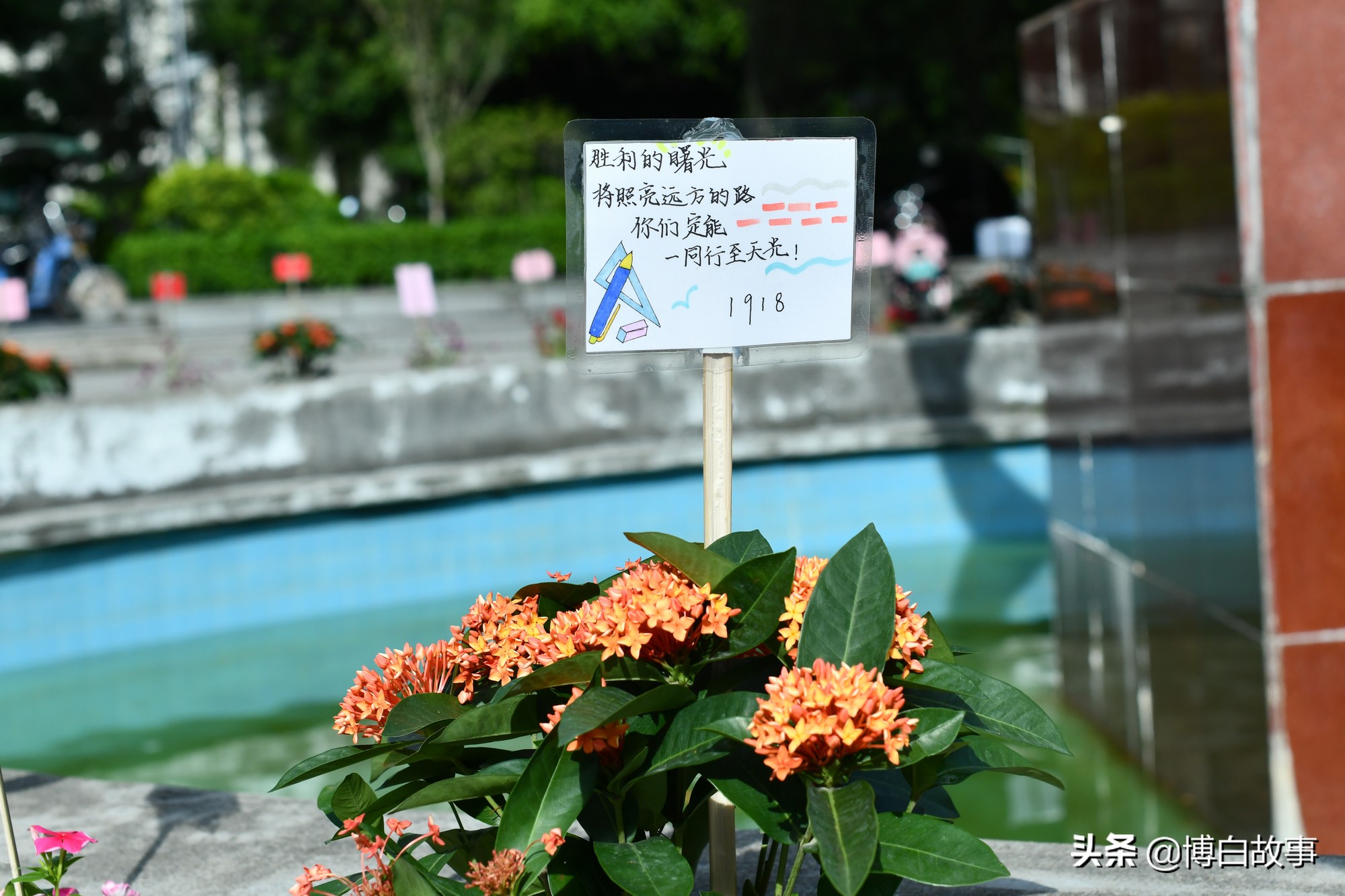 广西博白县中学做了大量工作，确保考生以最佳状态参加高考