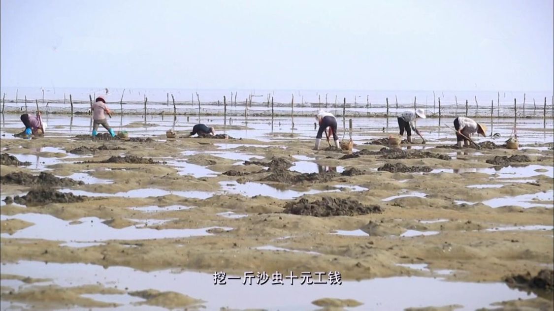 湛江十大特色美食：品味广东湛江地道风味与海洋珍馐
