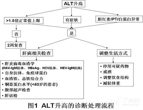 干货！转氨酶升高怎么办？都有什么病可以导致？