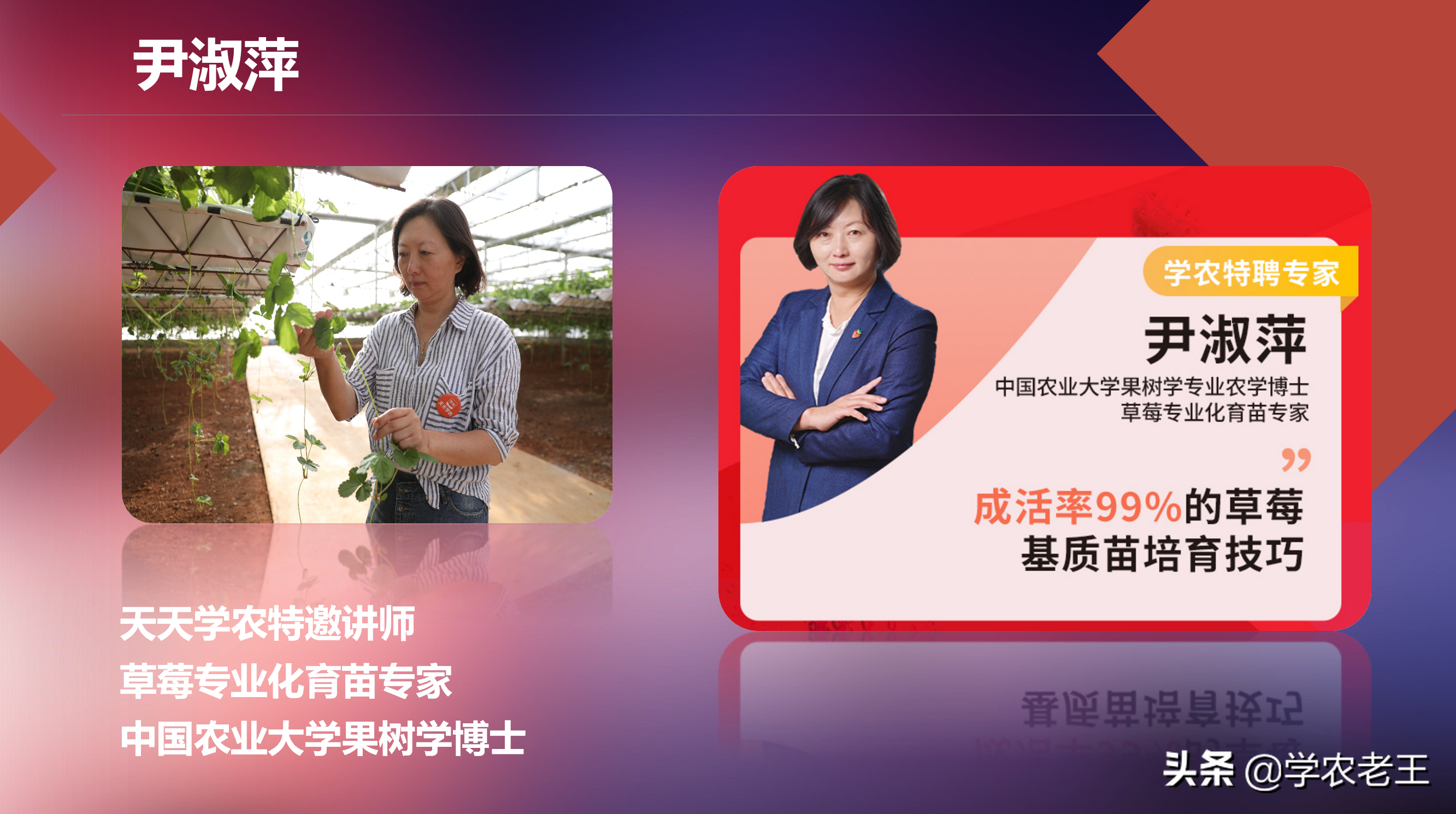 种植草莓购买基质苗？常说好苗七分收！划得来吗？一起来算算帐