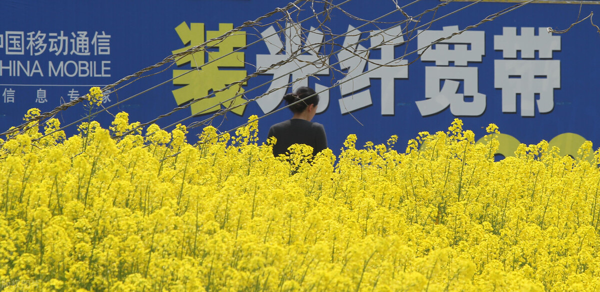大明：移动宽带晚上网速慢怎么办？教你一招，轻松解决问题