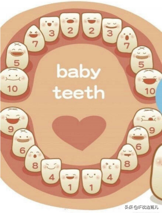 宝宝有这5个征兆就是要出牙了,家长一定收好"萌牙期"护理建议