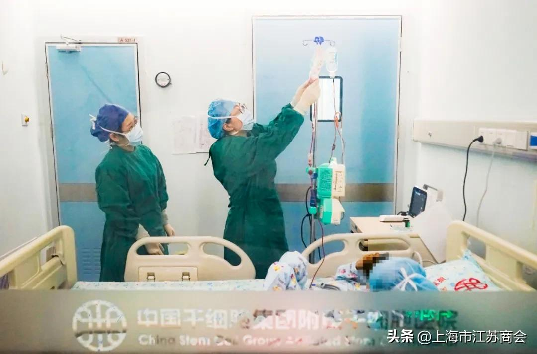 赓续红色血脉 中国干细胞集团成立上海市青少年血液病专项救助基金