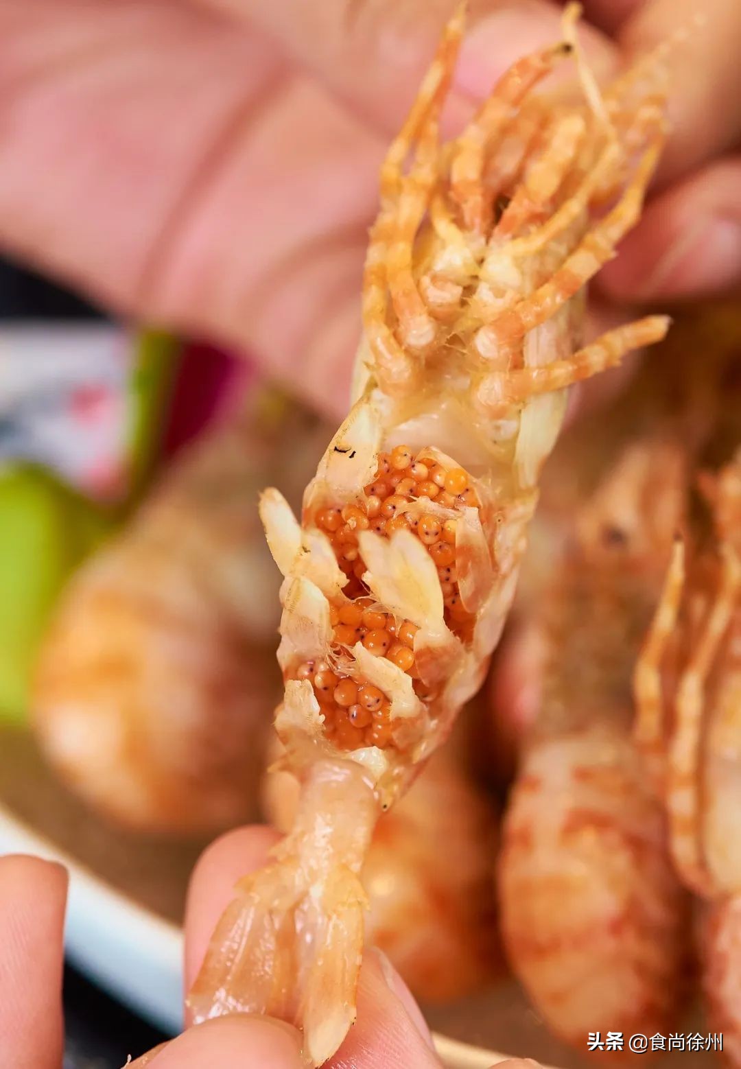 “徐州张柏芝”跑日本深度游？日料人均不到100，还能cos和服