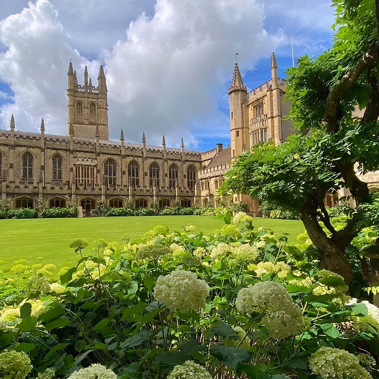 Ins上最受欢迎的英国&美国大学！哪些院校既网红又口碑爆棚？