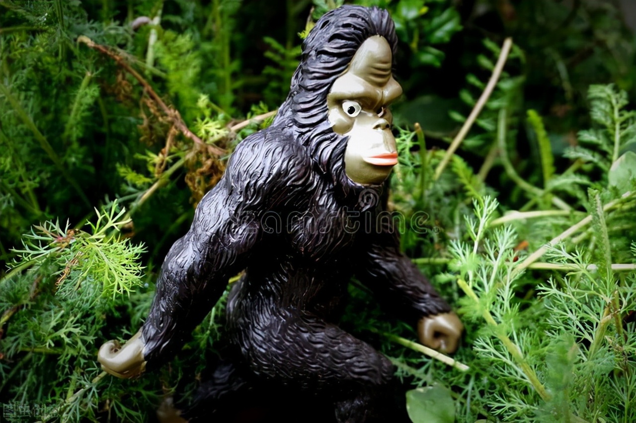 野人164、盛宇才的麻醉枪俘获了赫力兄妹，坎离山雪人迟到了