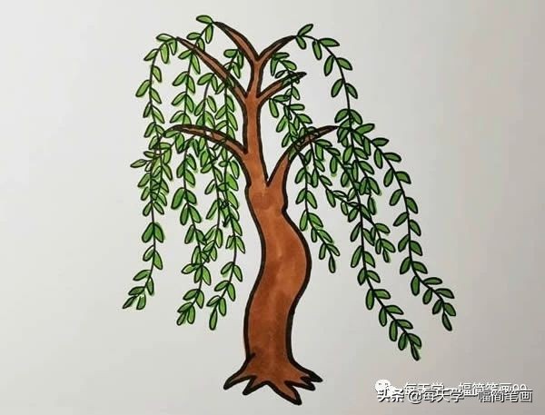 每天学一幅简笔画--柳树简笔画彩色画法步骤