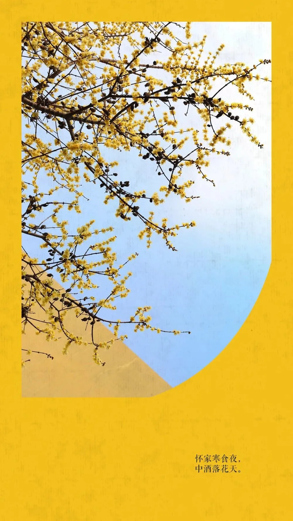 中国这10所大学壁纸第二期！厦门大学、中山大学等在列