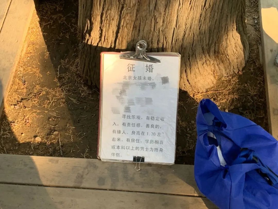 北京中山公园相亲角时间表,北京中山公园相亲角时间表现在有了吗
