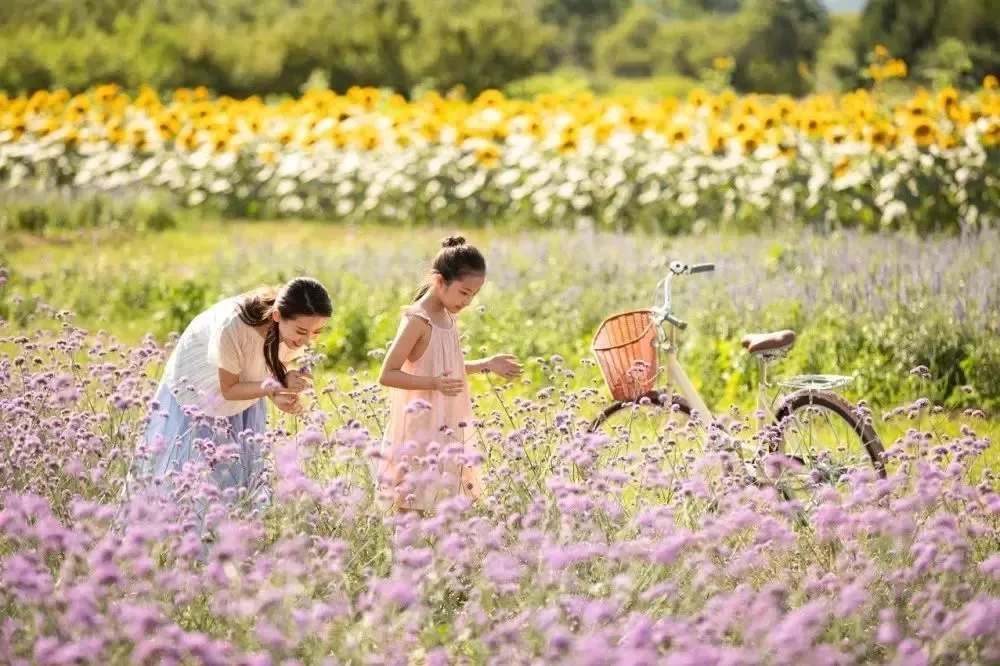 春日香水｜穿上花香，带上绿意，迎接明媚好春光