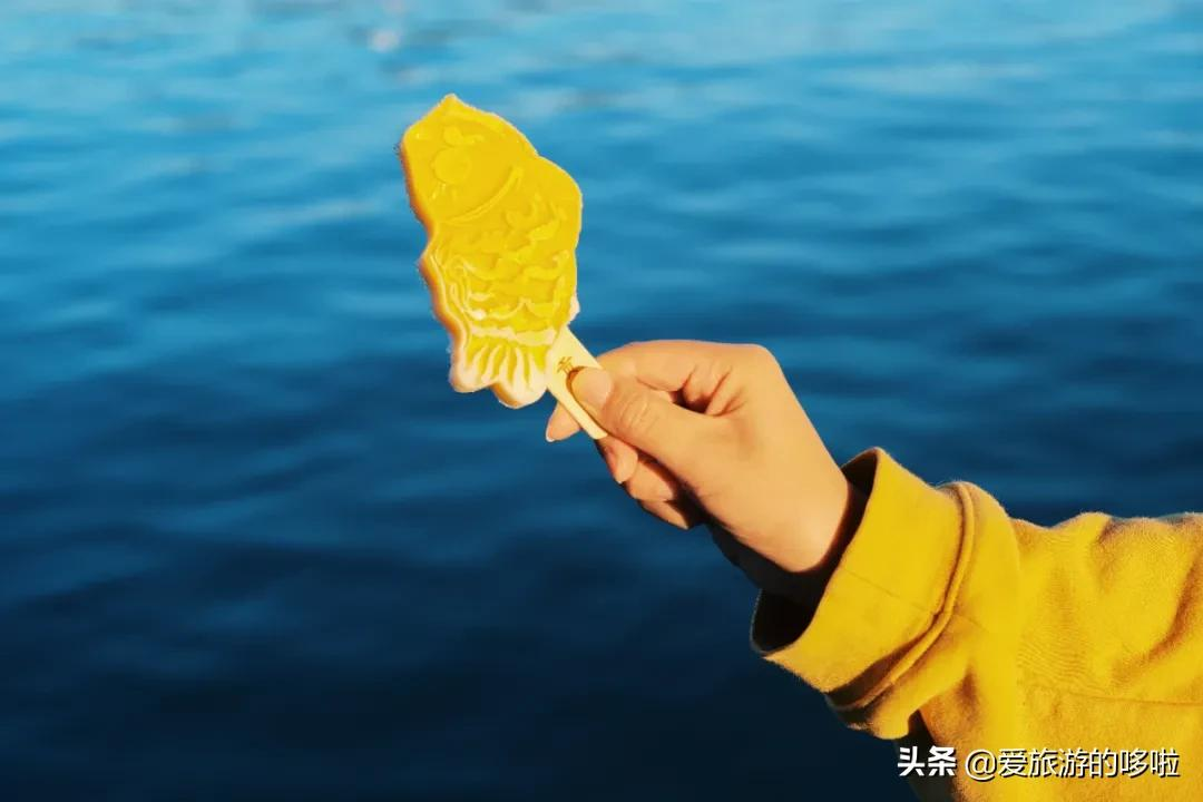6块钱,包船游西湖