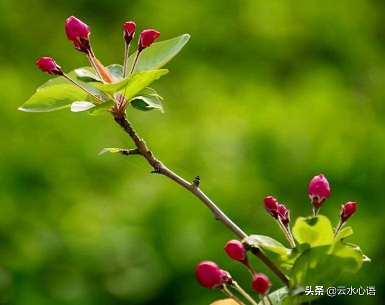 十首流传久远的经典古诗词，对比鲜明，技法高超，值得欣赏和收藏