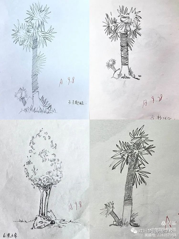 咸阳梦圆职业学校——学生绘画作品展