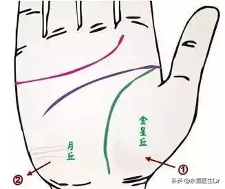 24种手诊图，揭示你的身心健康