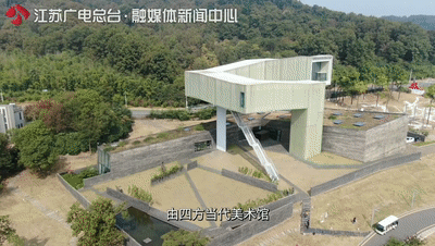 美了1500年，这里的古银杏即将迎来颜值巅峰