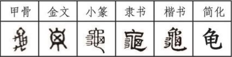 龟字家族：龟、阄，你知道“阄”字里面为什么是个“龟”吗？