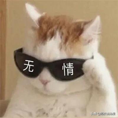 日本社长道出“日漫卖肉”的真相，却被漫画家讨伐！是谁在装睡？