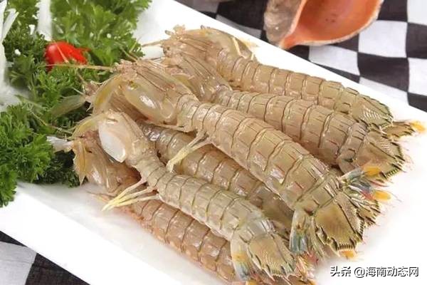 海魚圖片大全,海魚圖片大全及名稱