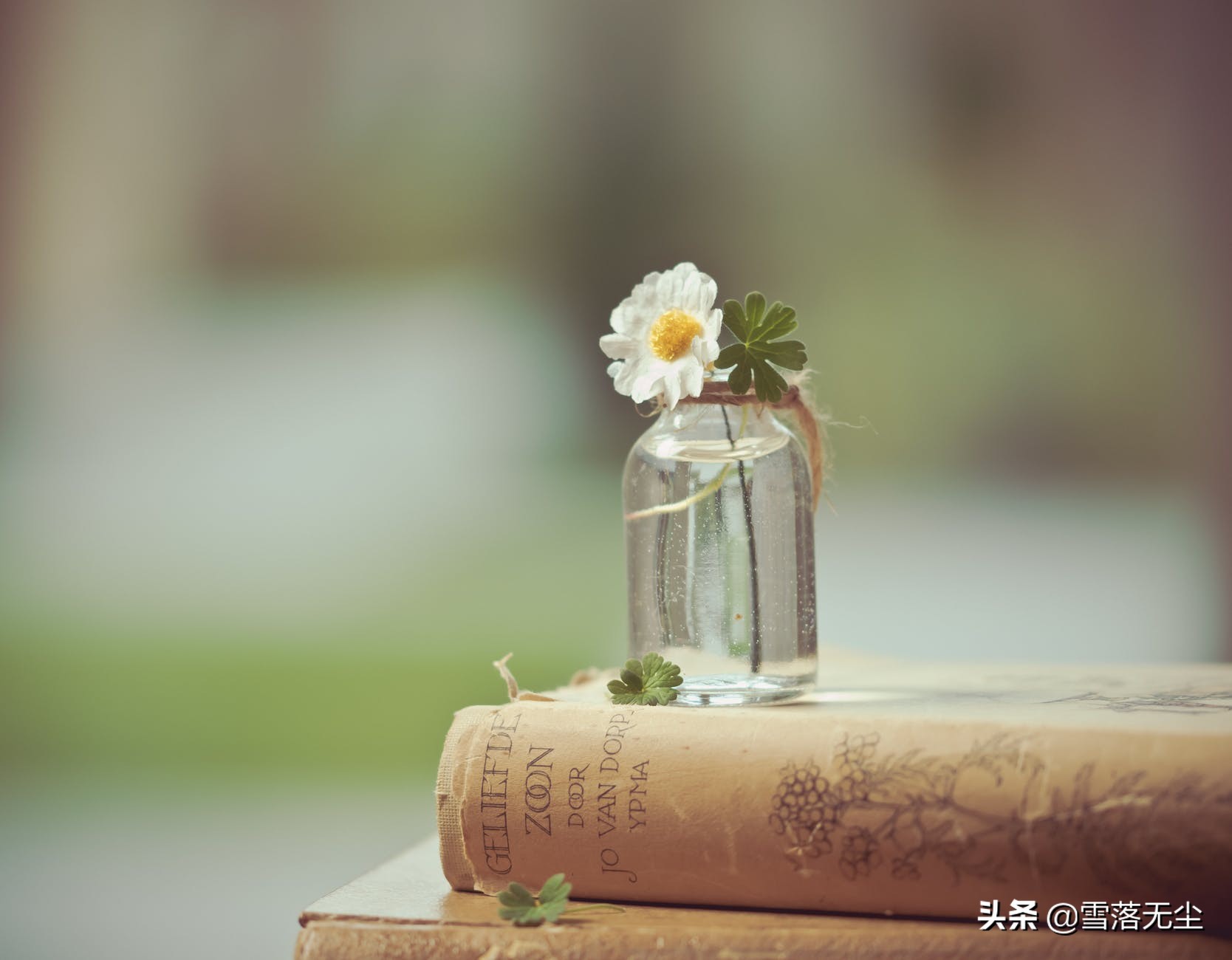 无论和谁在一起，别高估感情，别低估人性